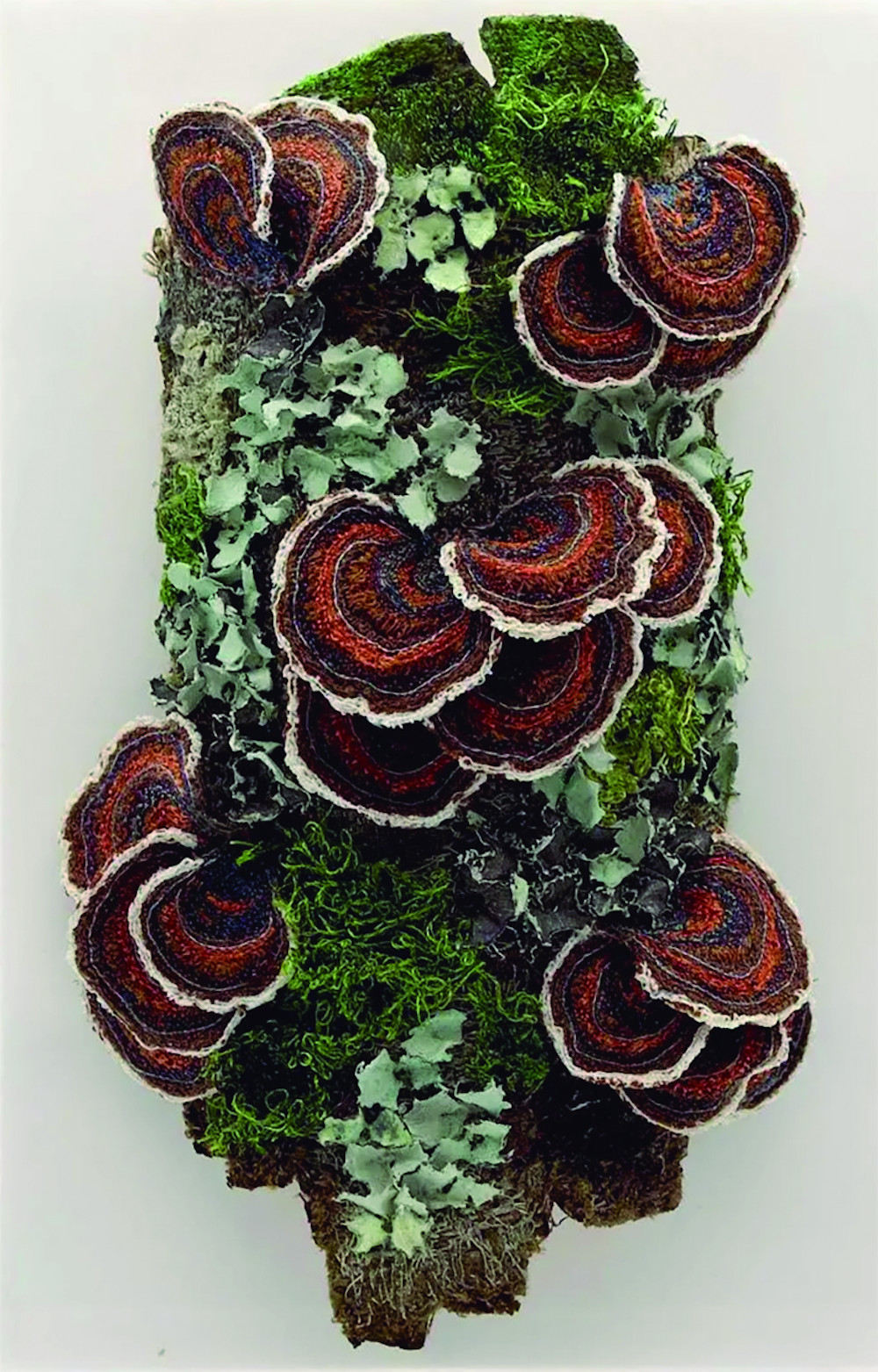 ©Amanda Cobbett, *Lichen and fungi*, 2020. Cortesía de la artista