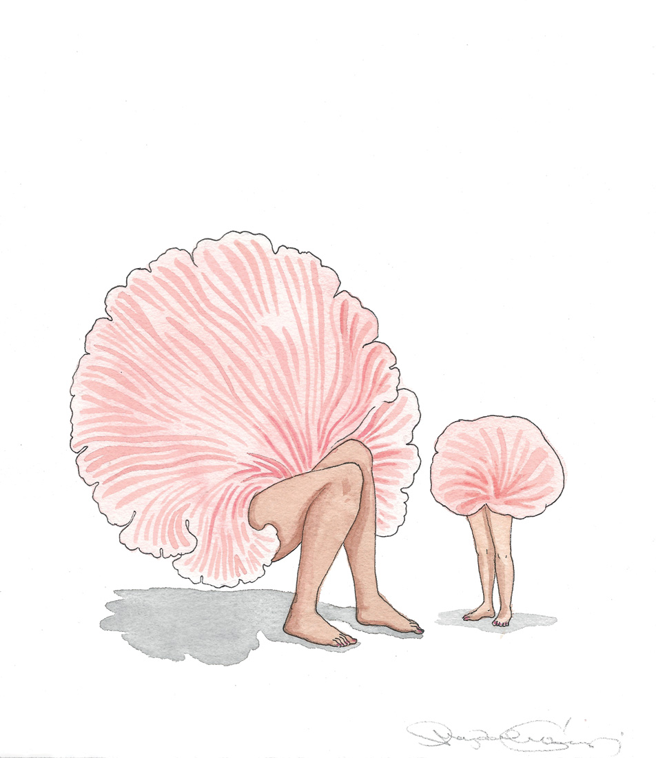 ©Mariana Magdaleno, *Crepidotus rosado*, 2023. Cortesía de la artista
