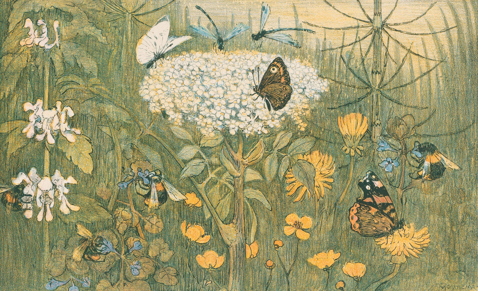 Theo van Hoytema, *Flores y mariposas,* 1910. Rijksmuseum 