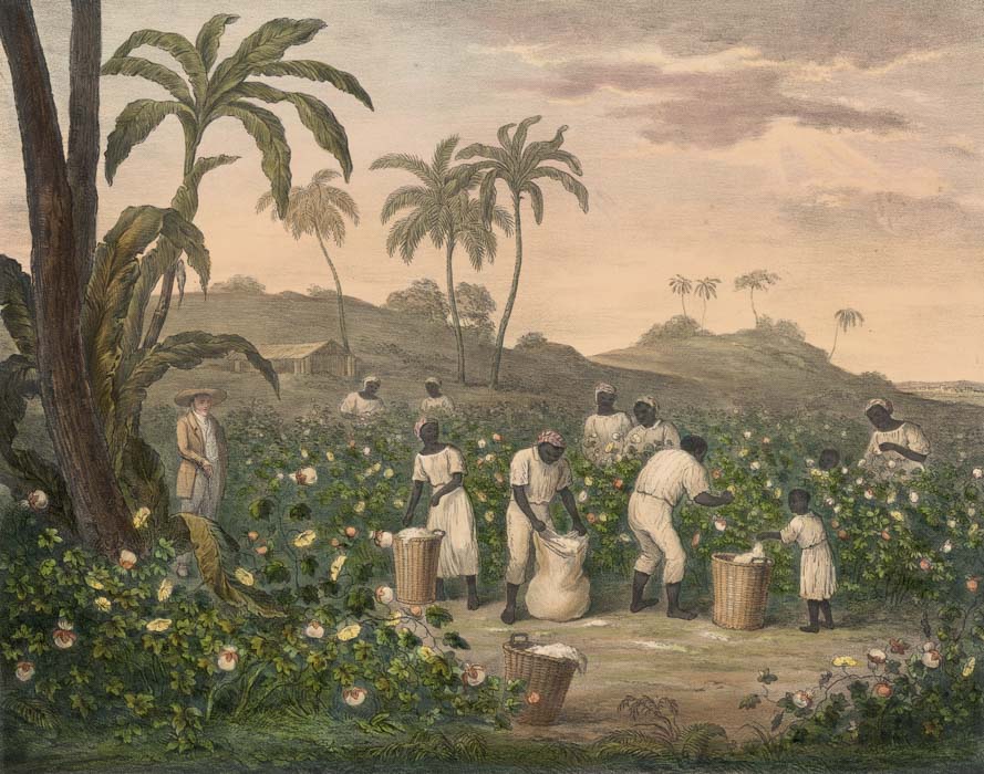 James Richard Barfoot, *Cotton Plantation*, 1840