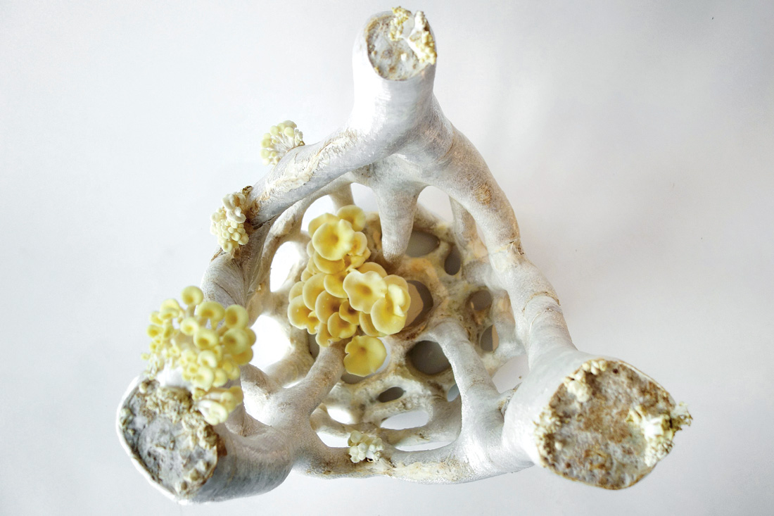 Studio Klarenbeek & Dros, *Veiled Lady*, de *The Mycelium Project*, 2014