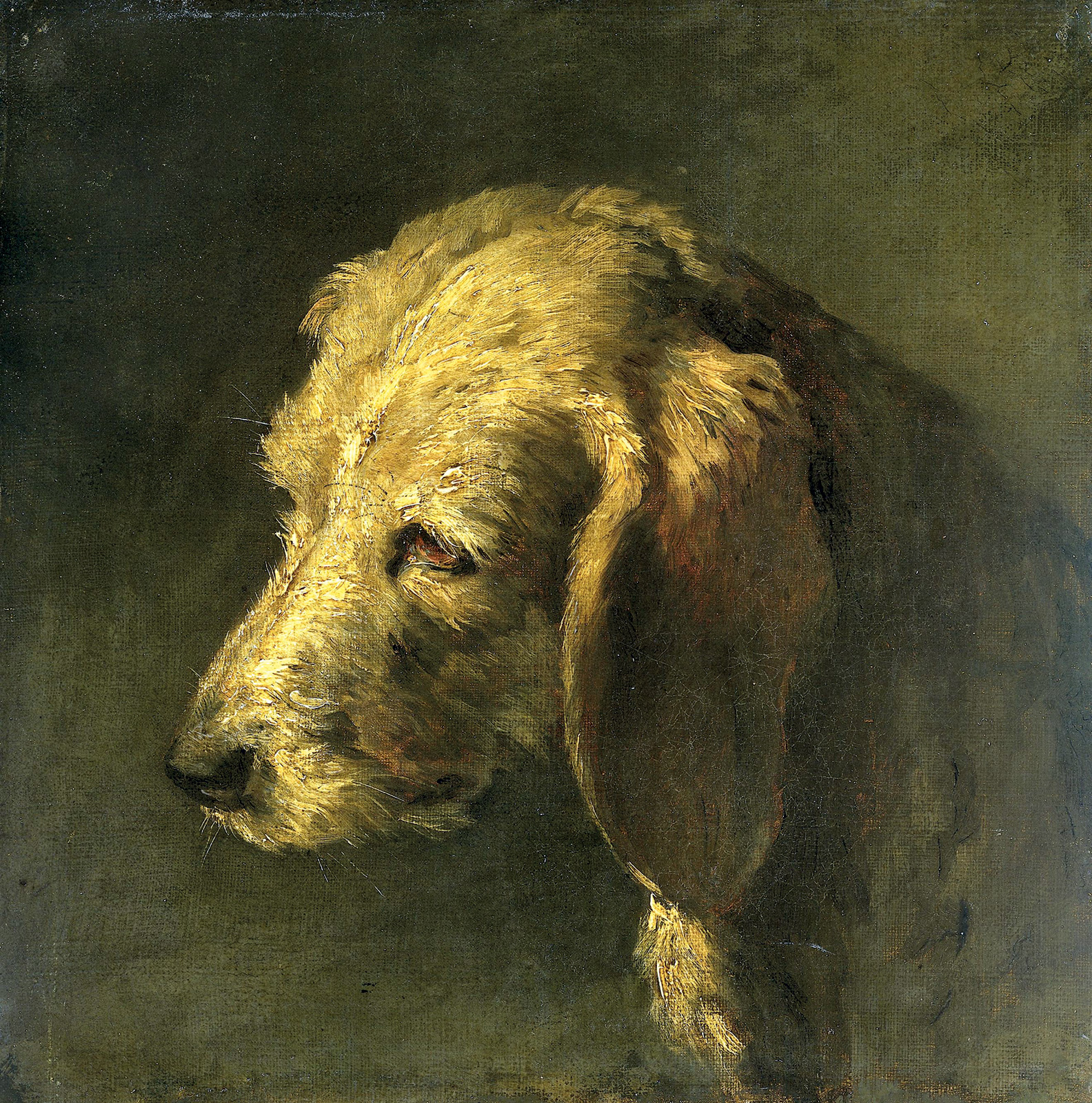 Nicolas Toussaint Charlet, *Cabeza de perro*, *ca*. 1820, Rijksmuseum 