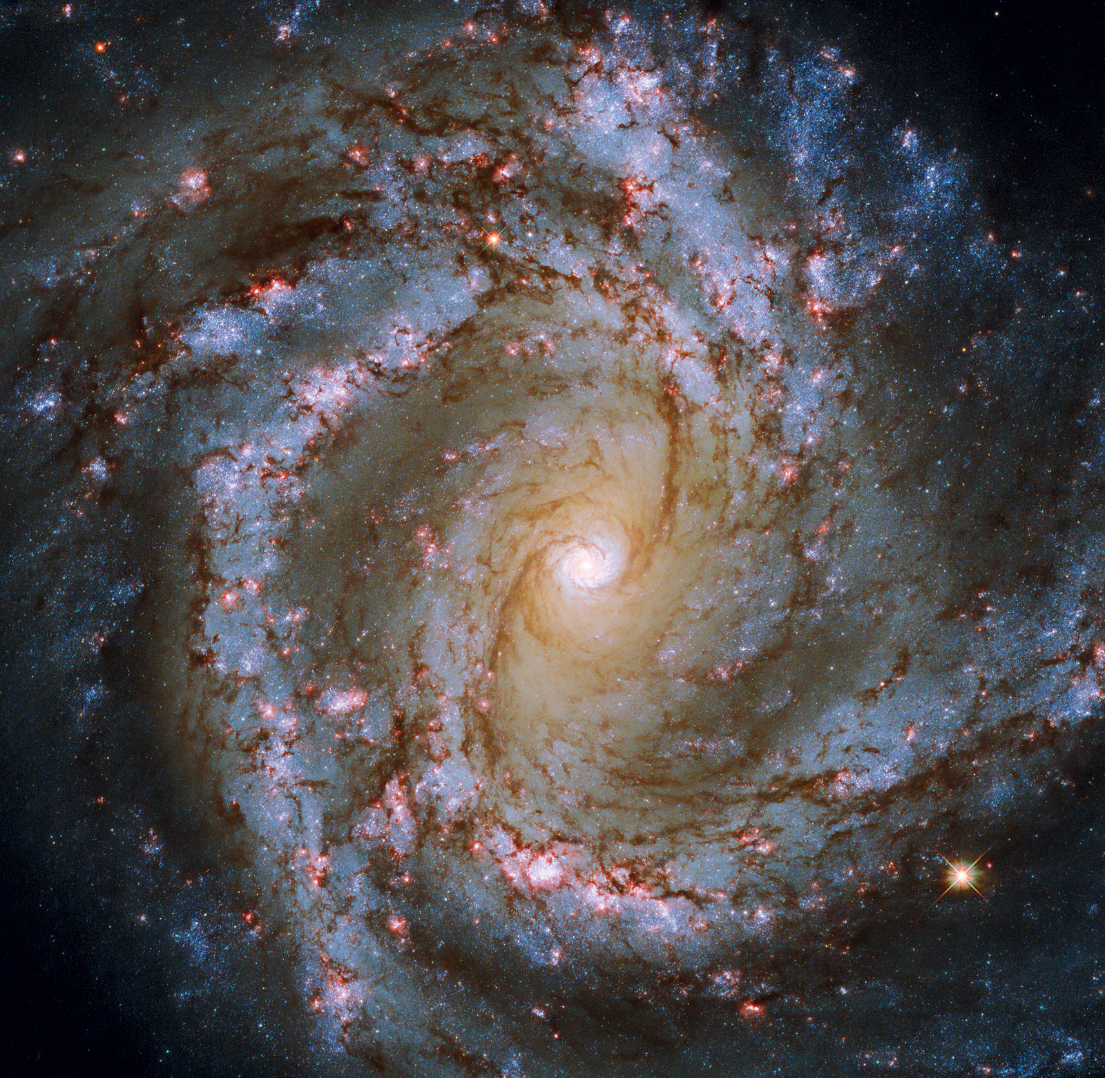El centro luminoso es el corazón de la galaxia M61, que alberga un agujero negro masivo de más de 5 millones de veces la masa del Sol. Galaxia espiral M61, 2021. Fotografía del ESA/Hubble y NASA, ESO, J. Lee y el equipo de PHANGS-HST
