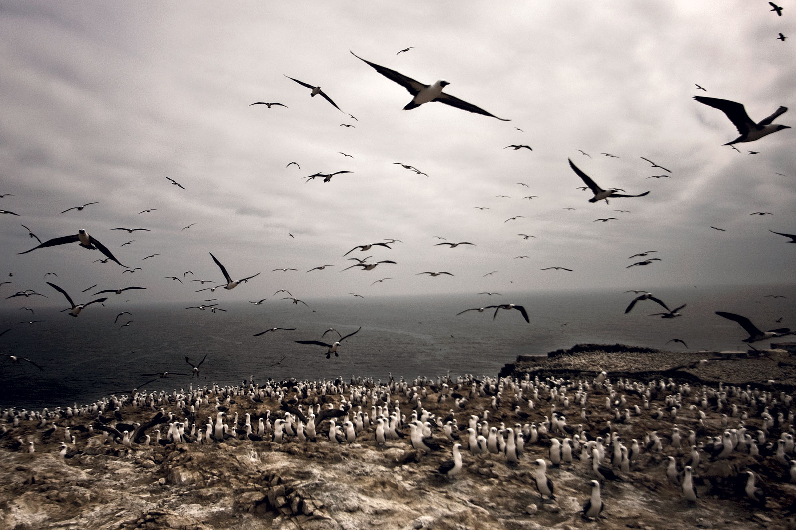 *Guano Islands*, 2009-2013, © Ernesto Benavides