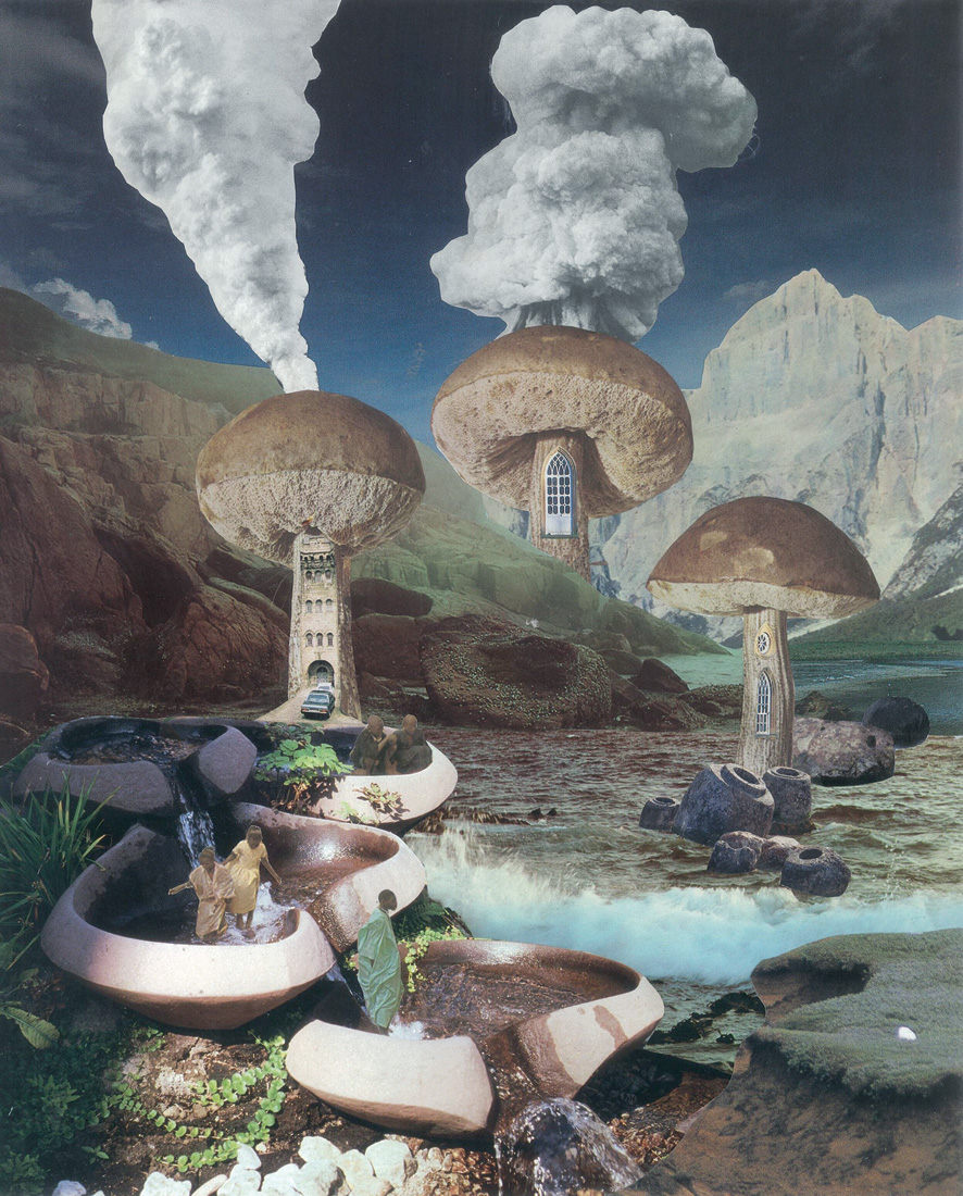 ©Seana Gavin, *Untitled, Mushroom Chimney*, de la serie *Mushrooms*, 2017. Cortesía de la artista
