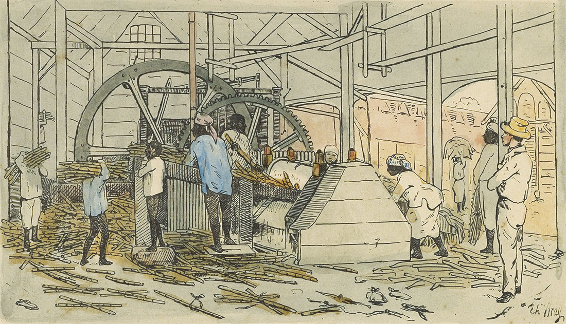 Molino de caña de azúcar, litografía de Theodor Bray, 1850. Leiden University Library