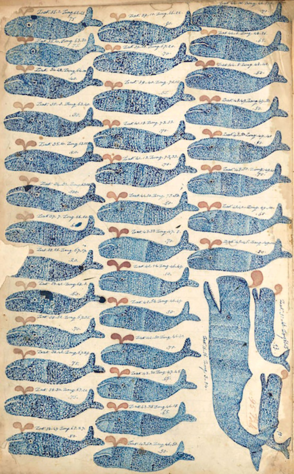 Thomas R. Bloomfield, dibujos de ballenas en la bitácora del barco Indian Chief, 1842–1844.