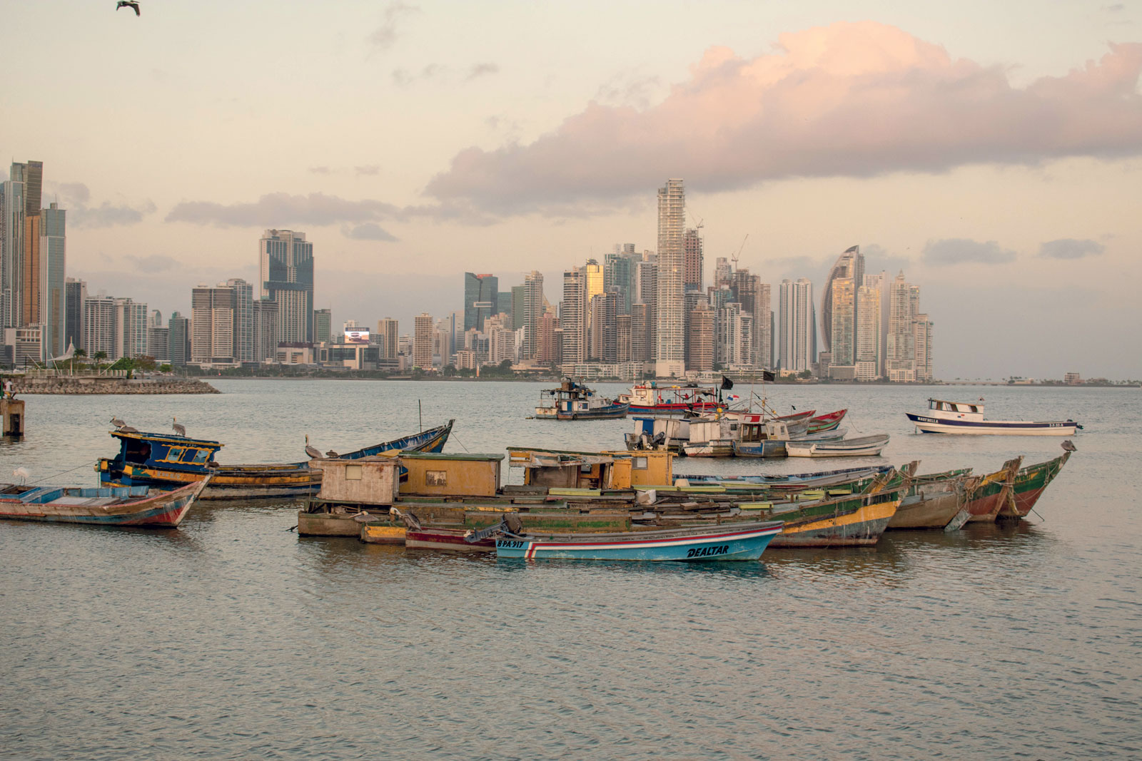 Panama City, 2019. Fotografía de Francisco Rioseco. Unsplash 