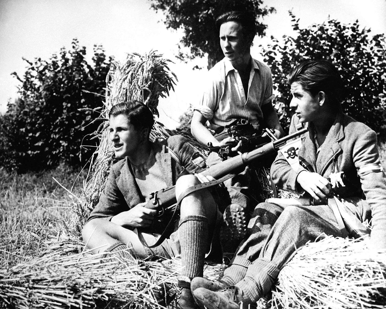 Jóvenes en resistencia de la Fuerzas Francesas del Interior (FFI) en un campo de trigo cerca de Rennes. Fecha desconocida. Service historique de la défense 