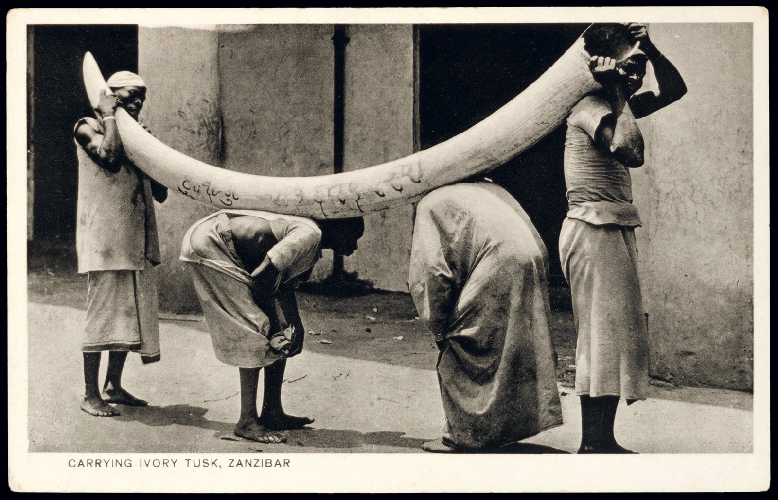 A.C. Gomes & Son, *Hombres cargando un colmillo de marfil*, *ca*. 1890. Northwestern University